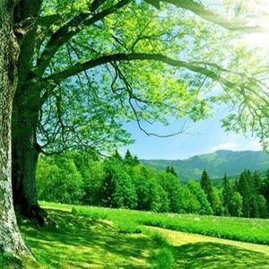 Meet your Posher, Jonathon